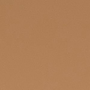 Meet your Posher, Sayeli